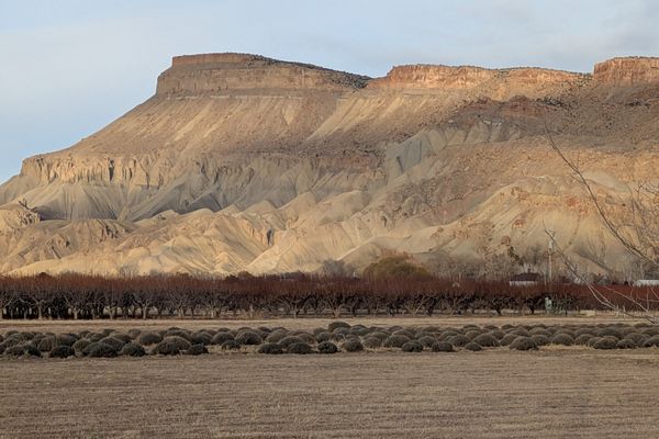 Mount Garfield over Palisade, Colorado, 2025-01-07